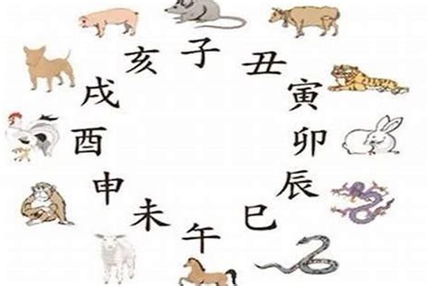 猪和蛇|生肖猪和蛇相冲吗 属猪和属蛇谁克谁